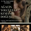 Ağacın Yolculuğu: Kemanın Doğuşu